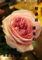 相遇前遇見后在線閱讀