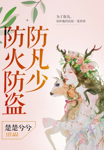 防火防盜防凡少