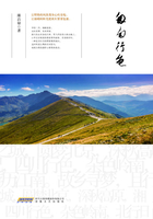 匆匆行色