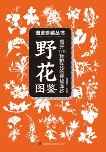 野花圖鑒（圖鑒珍藏叢書）