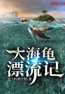 大海龟漂流记 cover