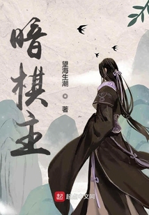 暗棋主