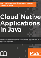 Cloud-Native Applications in Java在线阅读