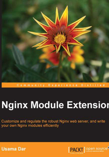 Nginx Module Extension
