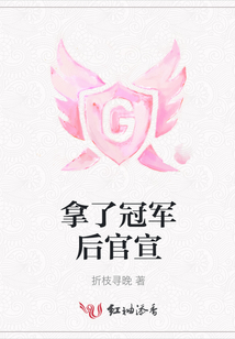 拿了冠軍后官宣