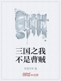 三國之我不是曹賊
