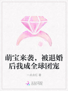 萌宝来袭,被退婚后我成全球团宠在线阅读