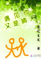 遇見你又是晴天在線閱讀