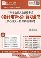 广东省会计从业资格考试《会计电算化》复习全书【核心讲义＋历年真题详解】