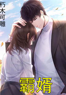 霸婿