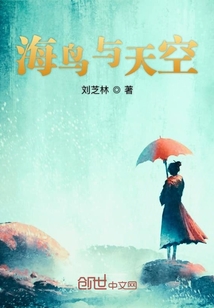 海鳥與天空