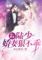 第一婚宠:陆少,娇妻狠不乖在线阅读