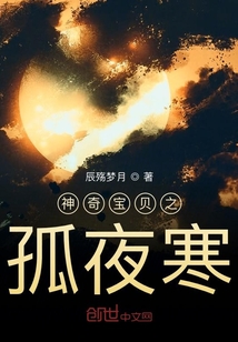 神奇宝贝之孤夜寒
