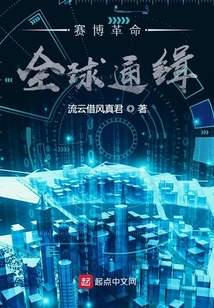 賽博革命：全球通緝