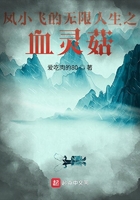 凤小飞的无限人生之血灵菇在线阅读