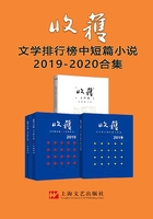 收获文学榜2020中短篇小说在线阅读