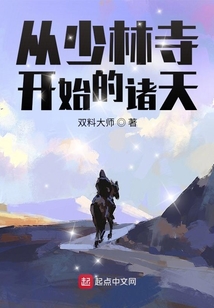 從少林寺開始的諸天