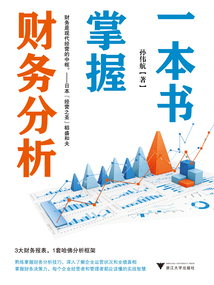 一本書掌握財務(wù)分析
