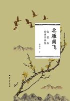 北雁南飞(张恨水经典作品集)在线阅读