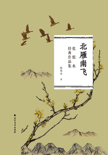 北雁南飛（張恨水經典作品集）