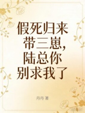 假死归来带三崽，陆总你别求我了在线阅读
