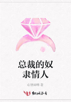 總裁的奴隸情人在線閱讀
