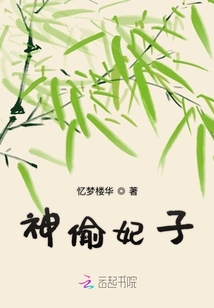 神偷妃子