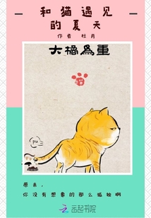 和貓遇見的夏天