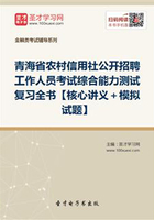 2019年青海省农村信用社公开招聘工作人员考试综合能力测试复习全书【核心讲义＋模拟试题】在线阅读