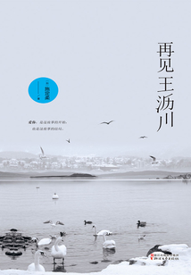再見王瀝川(《瀝川往事》續(xù)集)