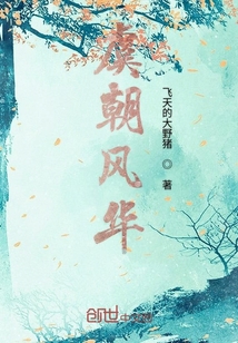 虞朝風華