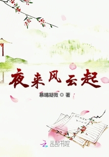 夜來風(fēng)云起