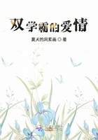 双学霸的爱情在线阅读