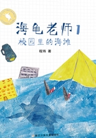 海龟老师1：校园里的海滩（海龟老师）