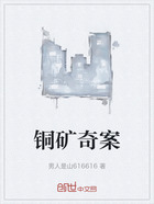 铜矿奇案在线阅读