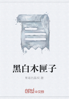 黑白木匣子在线阅读