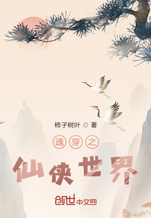 魂穿之仙俠世界