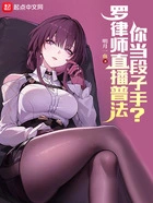 罗律师直播普法,你当段子手?在线阅读