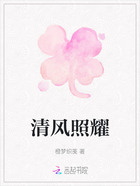 清风照耀在线阅读