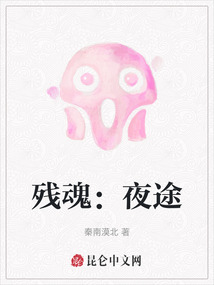 殘魂：夜途