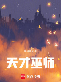 A Genius Wizard cover