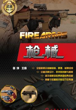 枪械 封面
