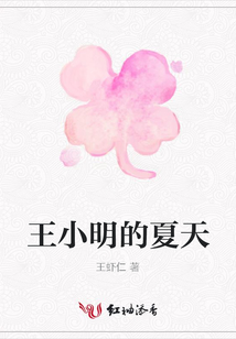 王小明的夏天
