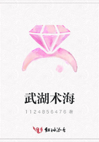武湖術海在線閱讀