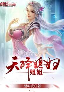 天降仙子姐姐 封面