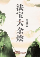 法宝大杂烩在线阅读