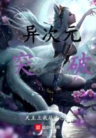 异次元突破在线阅读