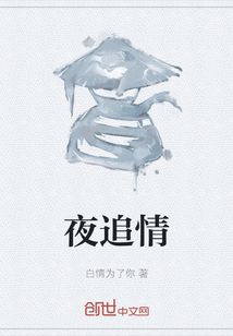 夜追情