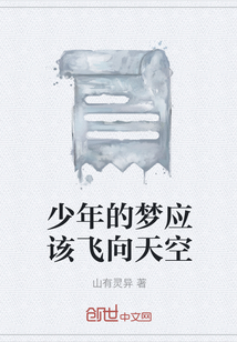 少年的夢應該飛向天空