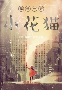 我是一只小花猫